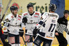 <p>Die Lausitzer Füchse unterlagen beim Sachsenderby am Sonntag den Dresdner Eislöwen mit 2:5 und konnten so keine Revanche für die Niederlage beim Winter Derby in Dresden nehmen.<br/>Foto: Heide<br/></p>
