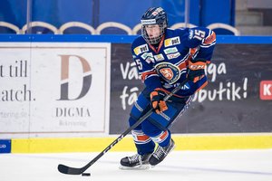 17-jähriger Dominik Bokk, Deutschlands größtes Talent seit Leon Draisaitl, sorgt in Schweden für Furore