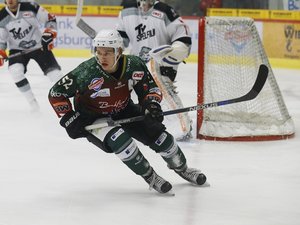 Heilbronner Falken verpflichten 27-jährigen Kanadier Gregory Gibson