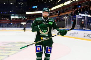 Grizzlys Wolfsburg holen Angreifer Alexander Johansson von SHL-Club Färjestad BK