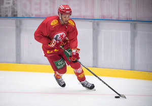 Bietigheim Steelers nehmen Angreifer Lukas Laub von der Düsseldorfer EG unter Vertrag