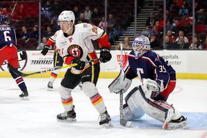 Kassel Huskies holen Angreifer Austin Carroll in die DEL2