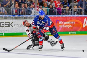 Meister Mannheim erwartet „taumelnde“ Kölner Haie, brisante Duelle bayerischer Rivalen in Nürnberg und Augsburg