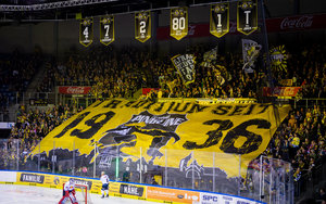 Investor zieht Zusage zurück: Übernahme der Anteile von Schulz und Wellen an KEV Pinguine Eishockey GmbH scheitert
