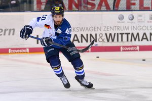 Vhl Eishockey Vhl Eishockey