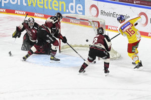 Köln verliert auch Derby gegen Düsseldorf, Eisbären übernehmen Tabellenspitze, Ingolstadt ärgert München