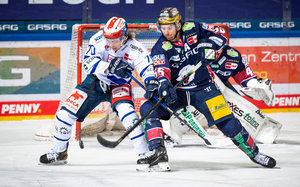 Schwenningen und Köln unter Druck: Wild Wings erwarten Berlin, Haie in Ingolstadt gefordert