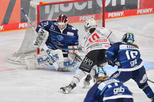 ERC Ingolstadt gewinnt die Frauen-Bundesliga - 3:1-Seriensieg über ECDC Memmingen Indians