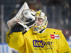 Krefeld Pinguine verlängern mit Torhüter Belov und den Stürmern Niederberger und Weiß