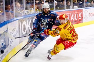 Kassel entscheidet Spitzenspiel für sich, Ravensburg klettert auf Rang drei, Spannung im Kampf um Pre-Playoff-Plätze