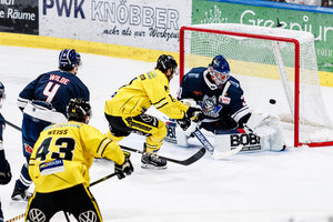 Crimmitschau stürzt Landshut, Kassel nach Sieg über Krefeld wieder Erster – Bietigheim mit Befreiungsschlag