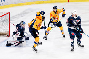 Derby in Kaufbeuren, Pinguine und Füchse im Verfolgerduell, Bad Nauheim braucht „richtige Mentalität“