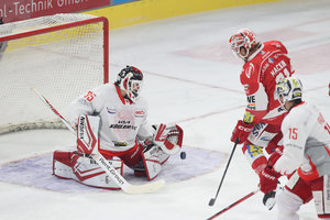 Düsseldorf fügt Kassel erste Niederlage zu, Regensburg gewinnt in Landshut, erste Dreier für Freiburg und Bad Nauheim