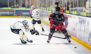 Hannover Scorpions holen Aquin und McMillan, Strakhov vorerst Interimstrainer