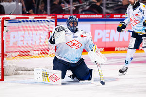 Vierter Club seit Anfang 2024: Ex-Dresdner Hudacek nach Bremerhaven