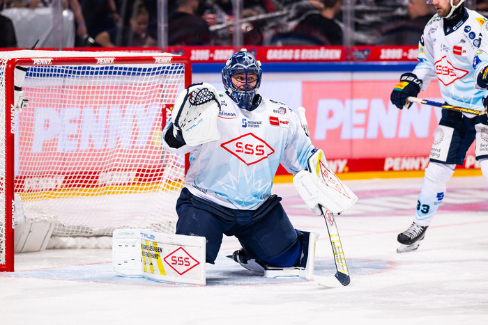 Vierter Club seit Anfang 2024: Ex-Dresdner Hudacek nach Bremerhaven