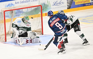 7:1: Krefeld setzt Ausrufezeichen in Ravensburg – Bietigheim verliert auch in Freiburg, Weißwasser bezwingt Kaufbeuren