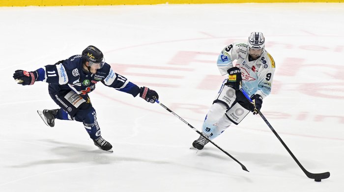 Verfolger Bremerhaven erwartet Primus Mannheim zum Top-Spiel, Kellerduell in Iserlohn und zwei mögliche Debüts