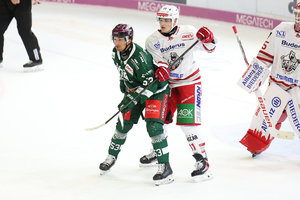 Daniel Weiß stürmt ab sofort für die Selber Wölfe – Heilbronner Falken lizenzieren Eetu Santanen