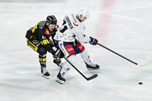 Disziplinarausschuss sperrt ESVK-Defender Ebner und Krefelds Angreifer Santos für je ein Spiel