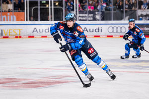 Disziplinarausschuss sperrt Straubings Brandt und Ingolstadts Krauß – Geldstrafe für Bremerhavens Miele