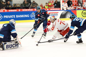 ERC Ingolstadt steht erstmals im CHL-Viertelfinale – Bremerhaven bringt Vorrundenprimus ins Wanken, scheidet aber aus