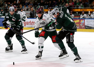 Von Rosenheim nach Landshut: Verteidiger Dylan Plouffe wechselt ins Krupp-Team