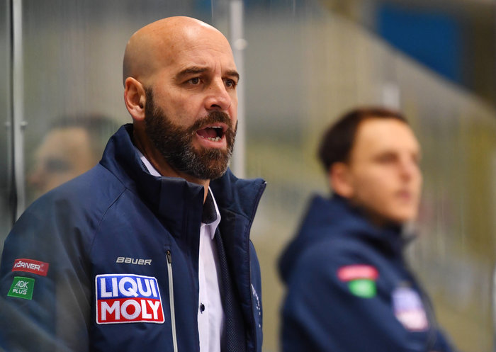 Rückkehr nach Deutschland: Rico Rossi übernimmt die Hannover Scorpions als Head Coach