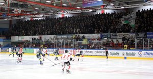 Dortmund, Essen, Hamburg, Landsberg, Adendorf, Peißenberg: Vierstellige Zuschauerzahlen in der Vierten Liga