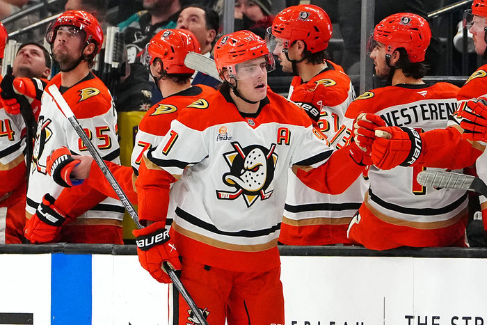 Die Anaheim Ducks befinden sich wieder im Höhenflug