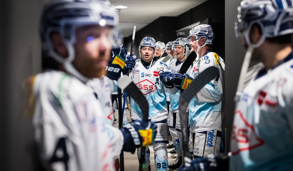 „Wir wissen um die Bedeutung": Löwen Frankfurt und Dresdner Eislöwen mit Schlüsselspielen