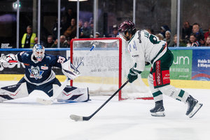Landshut holt späten Derbysieg, Rosenheim gewinnt nach Rückstand in Kassel, Crimmitschau feiert Dominic Walsh