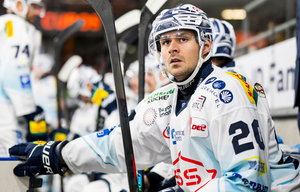 Drei Spieler erhalten Förderlizenzen für Blue Devils Weiden, Verteidiger Herbst kehrt aus dem Ruhestand zurück