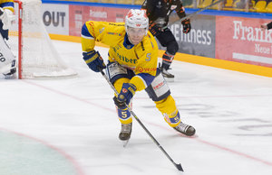 Süd-Oberligist Deggendorfer SC reaktiviert Defender Jan Bednar