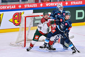 1:3-Heimniederlage gegen abgezocktes Frölunda: Dämpfer für Ingolstadt im CHL-Viertelfinalhinspiel