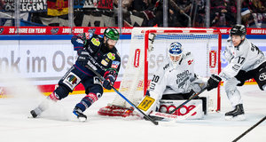 Köln in Berlin auf dem Prüfstand, München gastiert in Bremerhaven, Mannheim muss in Wolfsburg ran