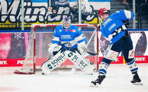 Torhüter Eriksson bleibt bis 2027 in Schwenningen – Dresdner Eislöwen investieren in Zukunft