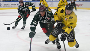 Spitzenspiel in Krefeld, Derbyrivalen in Landshut unter Druck – Flache: „Haben keine Tormaschine“