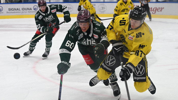 Spitzenspiel in Krefeld, Derbyrivalen in Landshut unter Druck – Flache: „Haben keine Tormaschine“