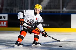 Bad Nauheim: Handschuhs Vertrag wird nicht verlängert, Cimmerman kommt