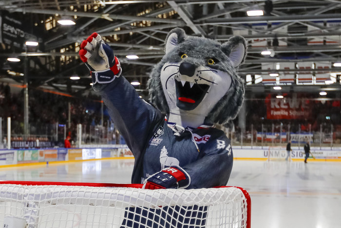 „Der Eissport hat in Freiburg eine Zukunft": Gemeinderat stimmt für Stadionsanierung