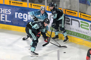 Dresdner Eislöwen holen Alec McCrea aus Düsseldorf, Jonas Müller bleibt in Ravensburg
