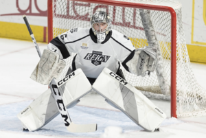 Keeper Bednard kommt aus der EIHL nach Düsseldorf – Schams komplettiert Heilbronns Defensive