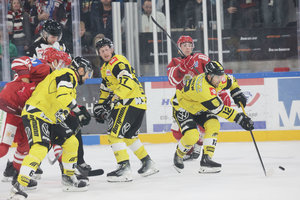 Lösung für Ausgleich gefunden: EV Landshut und Krefeld Pinguine einigen sich außergerichtlich