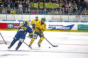 Augsburg und Ingolstadt schlagen Schweizer Teams, Regensburg verliert nach 3:1-Führung, Hult trifft für Bad Tölz doppelt