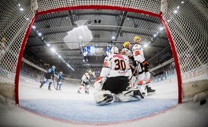 Dresden zieht bei Heimturnier ins Finale ein, Wolfsburg weiter ungeschlagen, Mannheim gewinnt Generalprobe