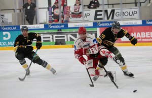 Rosenheim gewinnt Turnier in Deggendorf, Regensburg fertigt den DSC ab – Landshut bezwingt Pustertal