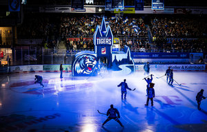 ERC Ingolstadt in der „Mission: Tabellenführer-Schreck“, Straubing Tigers nervenstark ins Derby