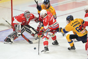 Erstes Heimspiel: Krefeld erwartet Bad Nauheim – Derby in Crimmitschau, Bietigheim „am Beginn eines Prozesses“