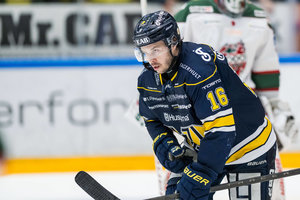 Kölner Haie holen 138-fachen NHL-Stürmer Tanner Kero nach Deutschland
